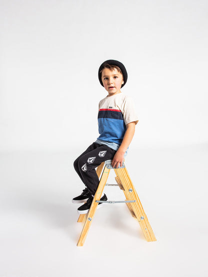 Little Boys Iconic Stone Fleece Pants